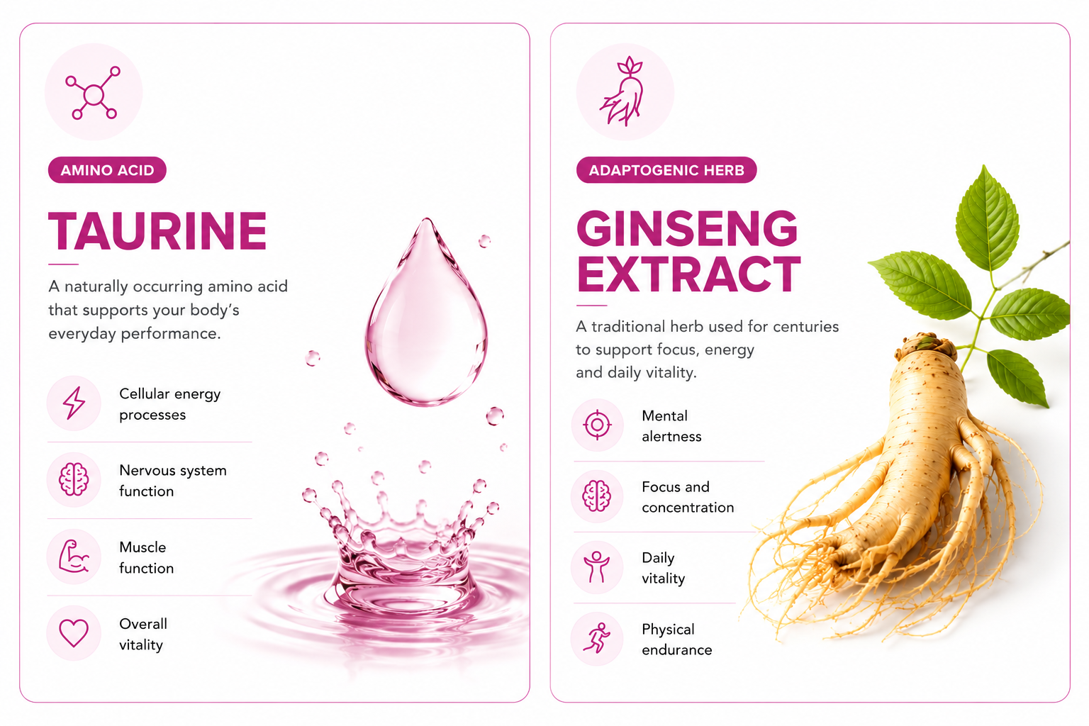 EnergyOne+ two lead actives — Taurine (amino acid; a naturally occurring amino acid supporting your body's everyday performance: cellular energy processes, nervous system function, muscle function, overall vitality) and Ginseng Extract (adaptogenic herb; a traditional herb used for centuries to support focus, energy and daily vitality: mental alertness, focus and concentration, daily vitality, physical endurance)