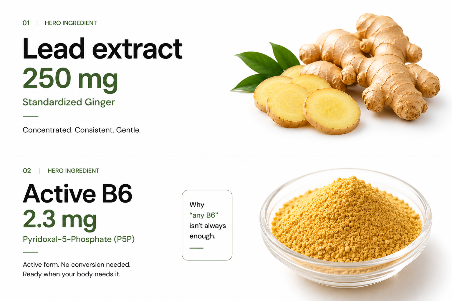Ginger+ two lead actives — Standardized Ginger 250 mg (concentrated, consistent, gentle; eases morning queasiness, supports gentle digestion, warming comforting effect, pregnancy-friendly dose) and Active B6 2.3 mg as Pyridoxal-5-Phosphate P5P (the active form, no conversion needed; eases pregnancy nausea, supports energy and mood, co-factor in hemoglobin, ready to use the moment it's absorbed)