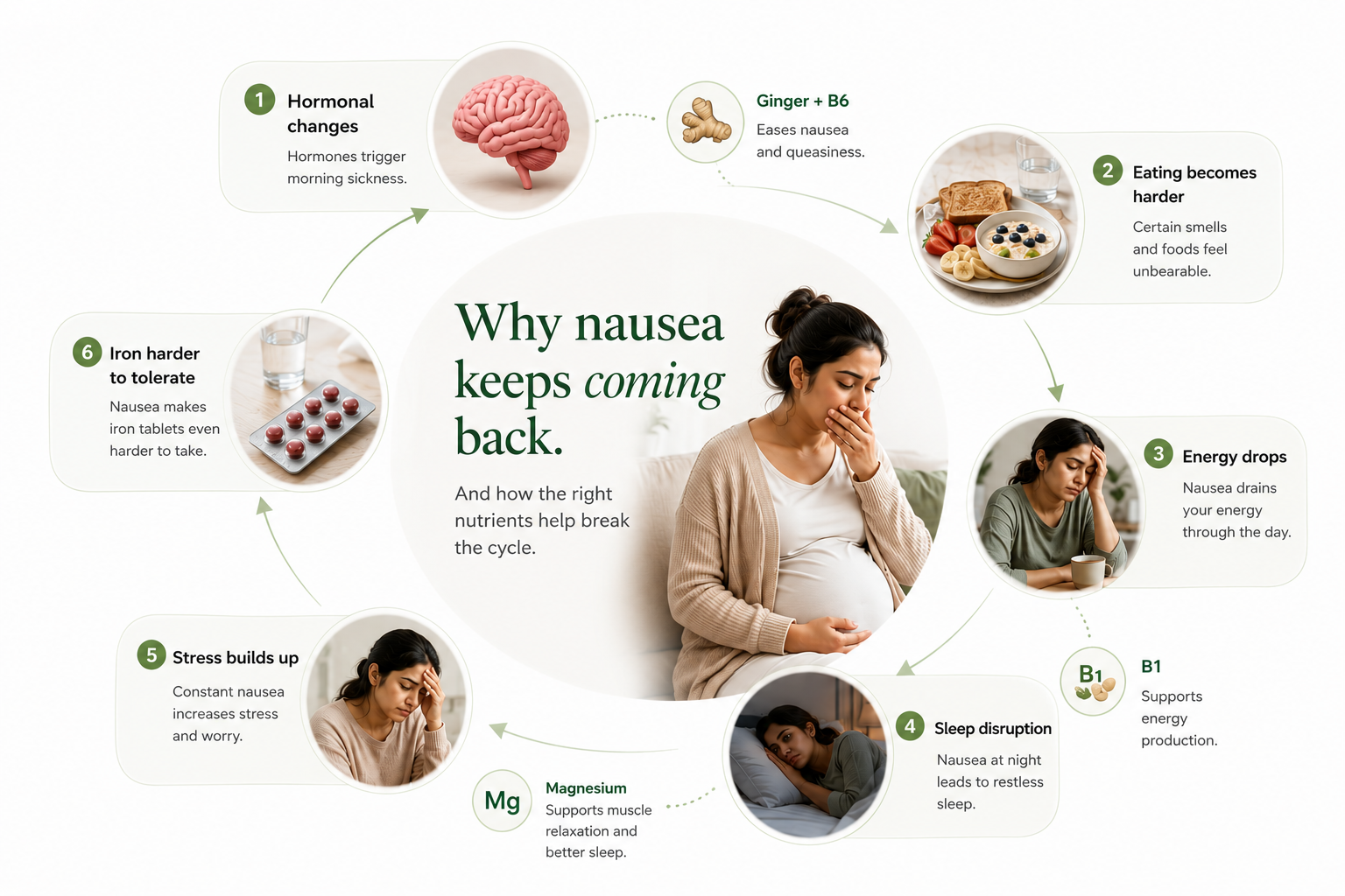 Why nausea keeps coming back — and how the right nutrients help break the cycle. Hormonal changes trigger morning sickness; eating becomes harder as smells and foods feel unbearable; energy drops through the day; sleep disruption from night-time nausea; stress builds up; iron becomes harder to tolerate. Ginger + B6 ease nausea and queasiness, B1 supports energy production, and Magnesium supports muscle relaxation and better sleep.