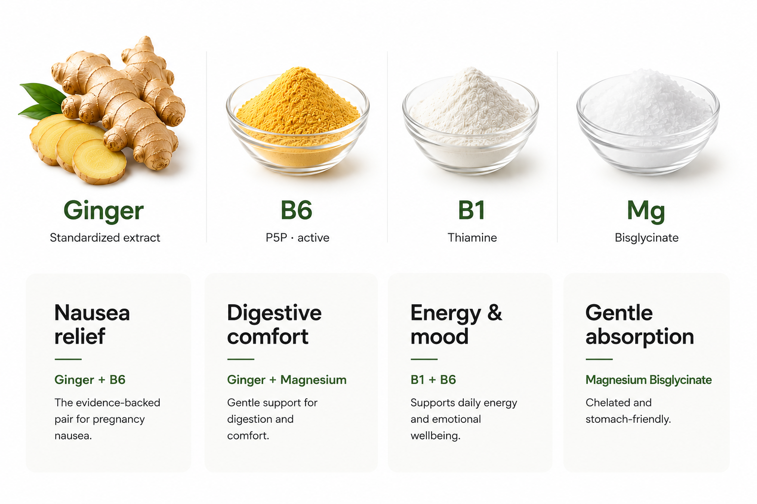 Ginger+ supporting actives — Ginger (standardized extract), B6 (P5P active form), B1 (Thiamine) and Mg (Magnesium Bisglycinate). Nausea relief: Ginger + B6 P5P, the two evidence-backed actives for pregnancy nausea. Digestive comfort: warming ginger helps gentle movement, magnesium relaxes smooth muscle. Energy and mood: B1 and B6 together support steady energy and calmer mood through the day. Gentle absorption: magnesium as bisglycinate, chelated, gentler on the stomach, well-absorbed.